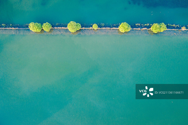 淮安洪泽区洪泽湖湿地鱼塘图片素材