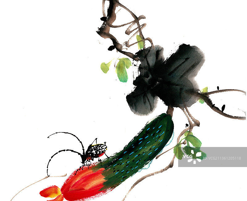 黄瓜上的黑牛图片素材