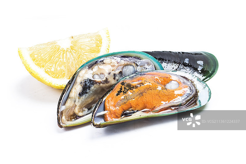 青口贝图片素材