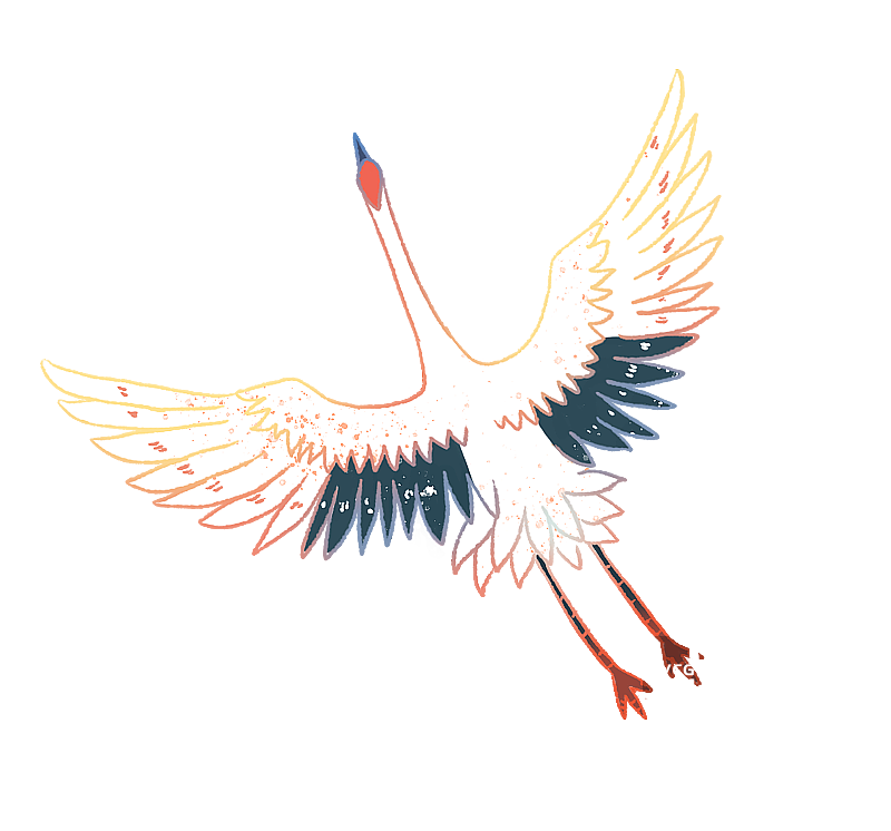 国潮旅行元素插画背景线描彩色仙鹤图片素材