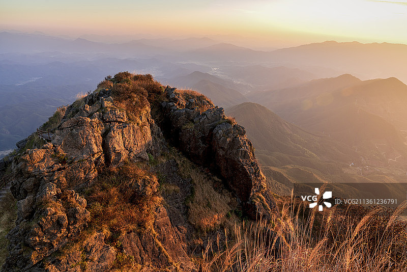 金色金子山 秋日，登上广东连山金子山摘金子。图片素材