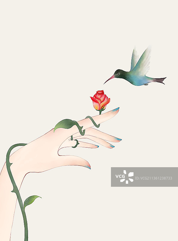 古风插画手蔷薇和蜂鸟图片素材