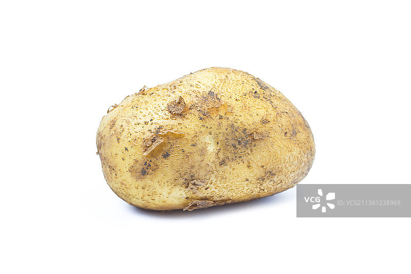 土豆图片素材
