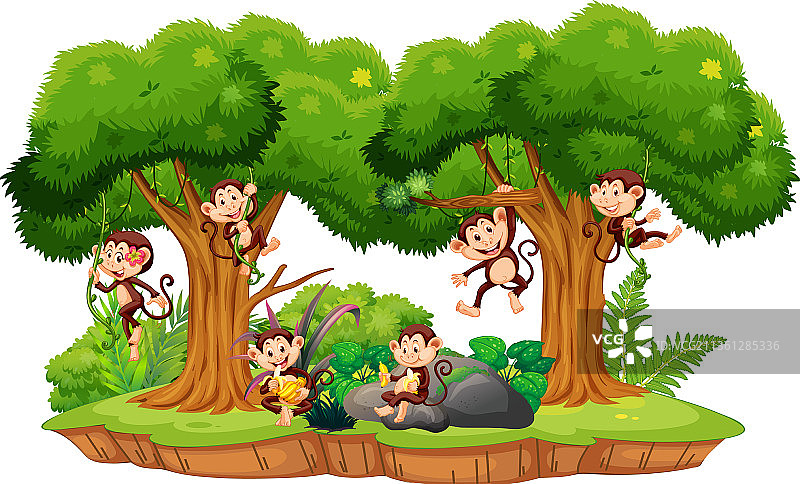 顽皮猴子的森林场景图片素材