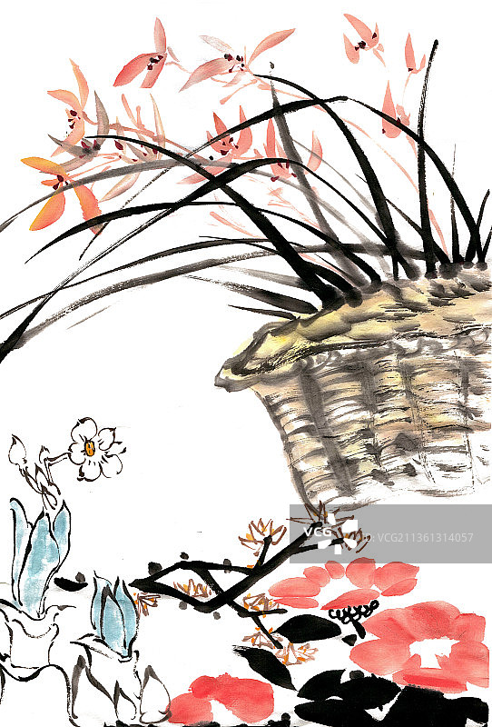 玉兰花与兰花图片素材