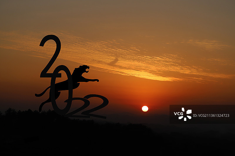 2022年十二生肖老虎奔跑跨年剪影图片素材