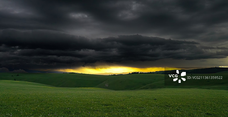 威龙在天图片素材