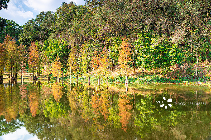 番禺大夫山森林公园水彬风景图片素材