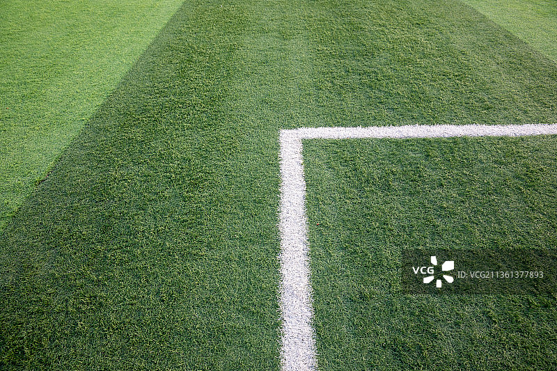 绿色草坪图片素材