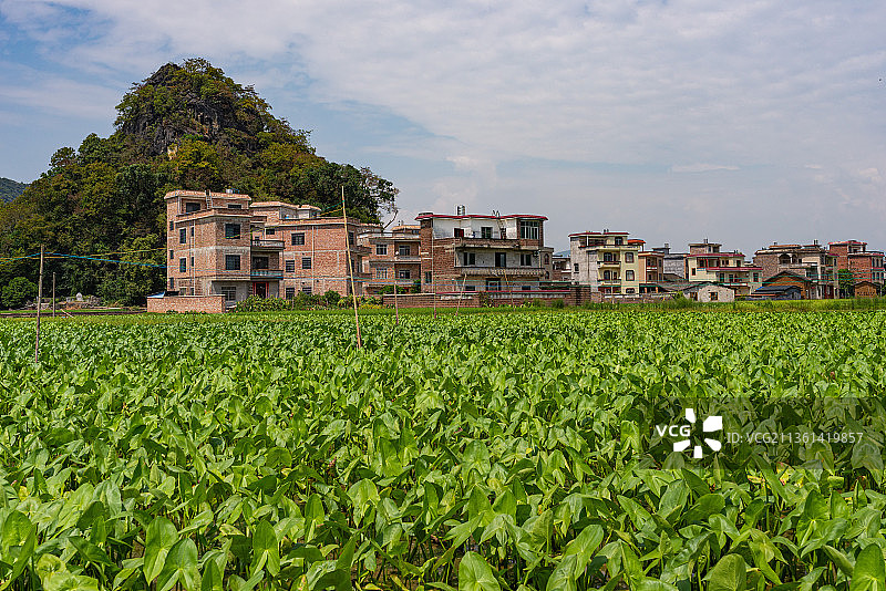 山脚下的村庄和田园风光图片素材