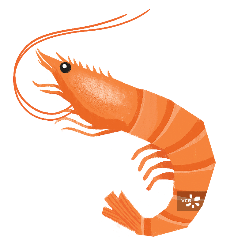 食物免扣元素插画图片素材