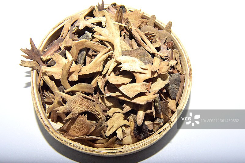 中药材鳖甲图片素材