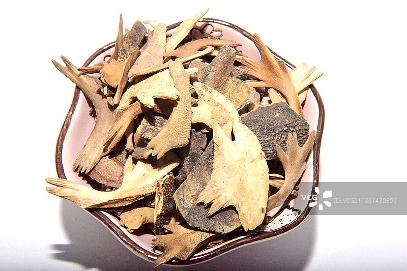 中药材鳖甲图片素材