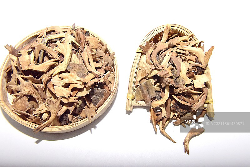 中药材鳖甲图片素材