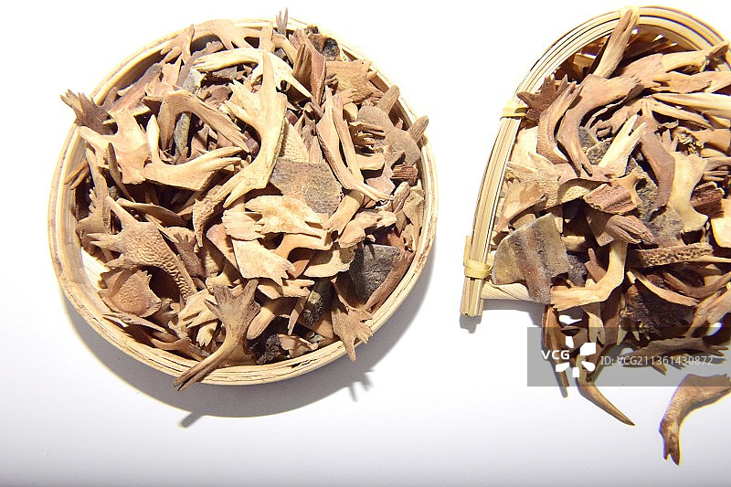 中药材鳖甲图片素材