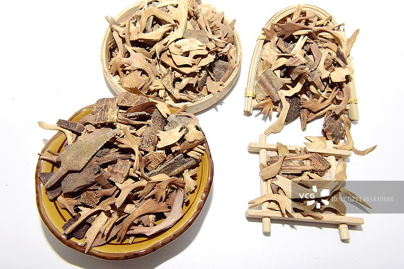 中药材鳖甲图片素材