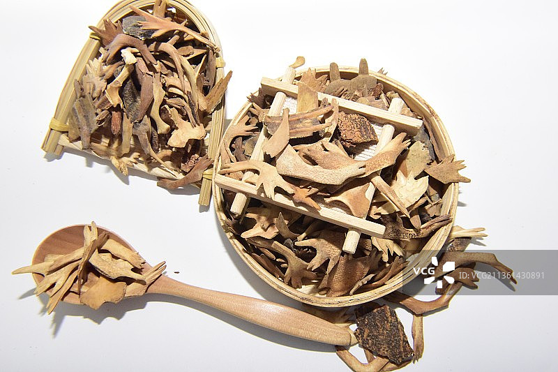 中药材鳖甲图片素材