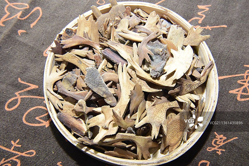 中药材鳖甲图片素材