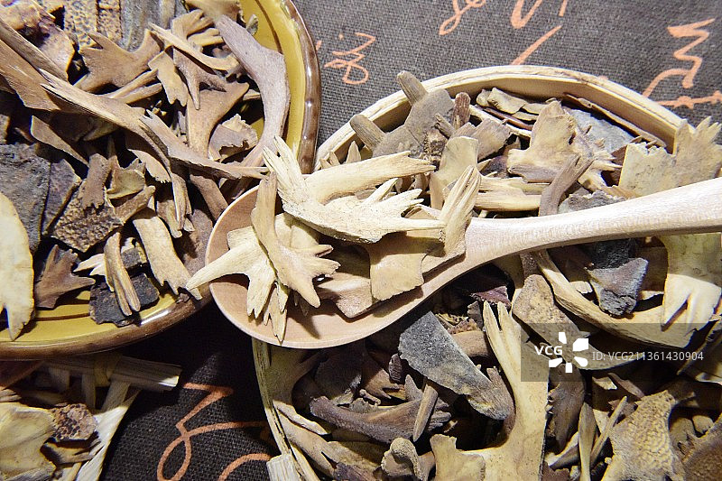 中药材鳖甲图片素材