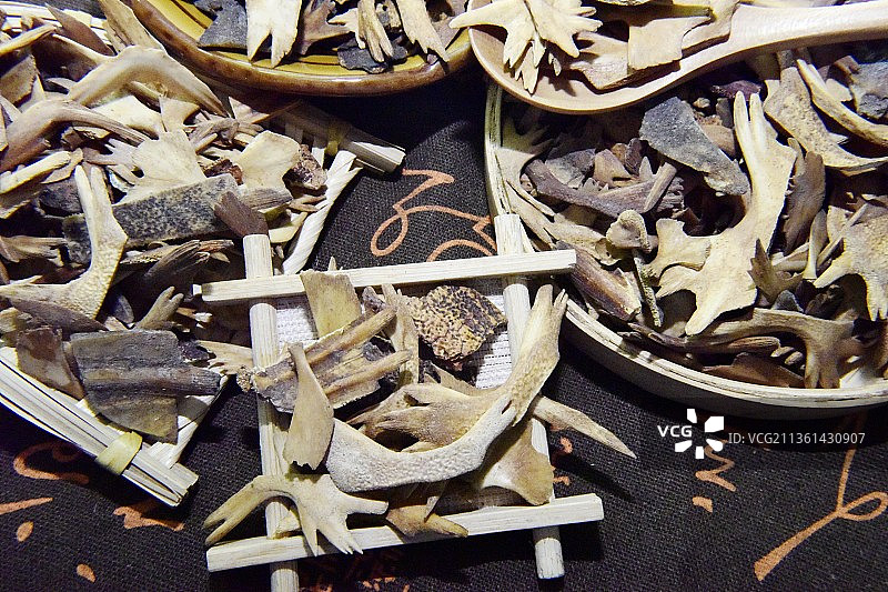 中药材鳖甲图片素材