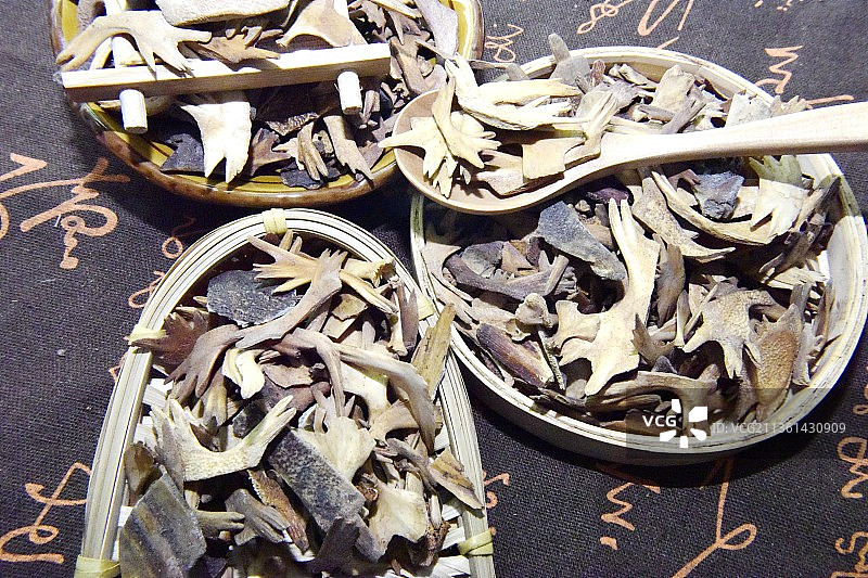 中药材鳖甲图片素材