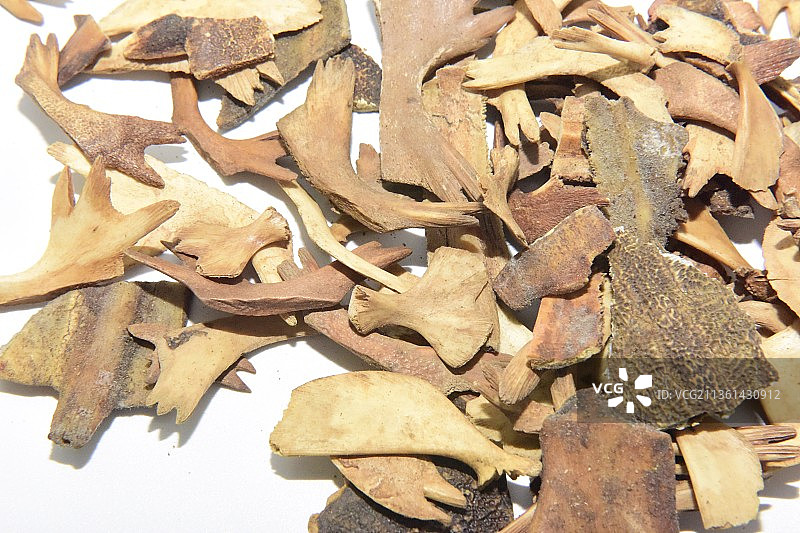 中药材鳖甲图片素材