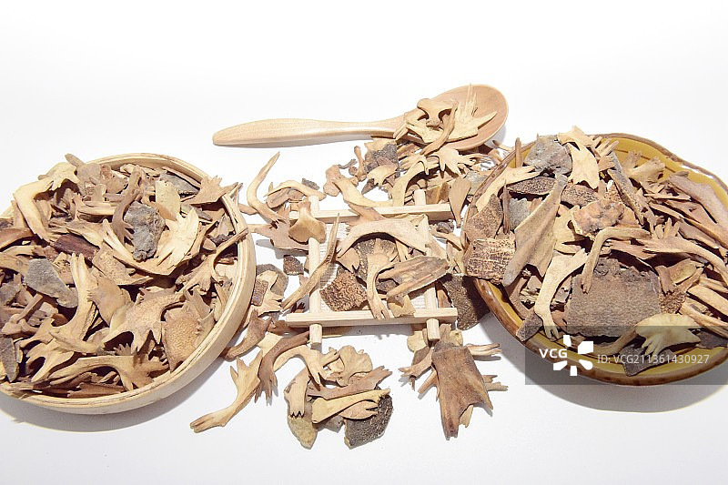 中药材鳖甲图片素材