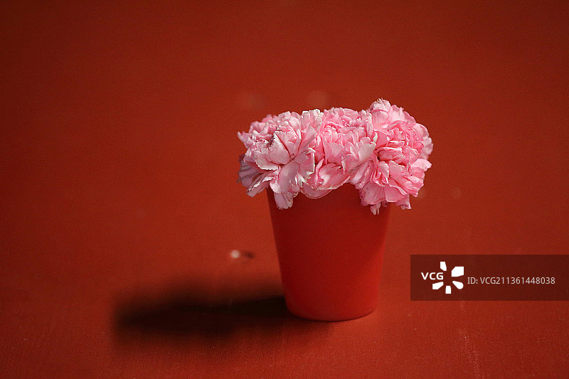 红色花束：红色背景下的红色花盆特写图片素材