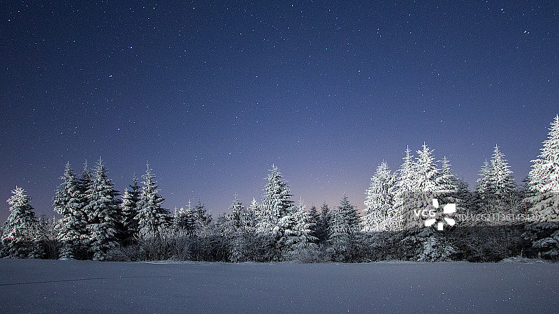 夜晚雪地天空下的树木图片素材