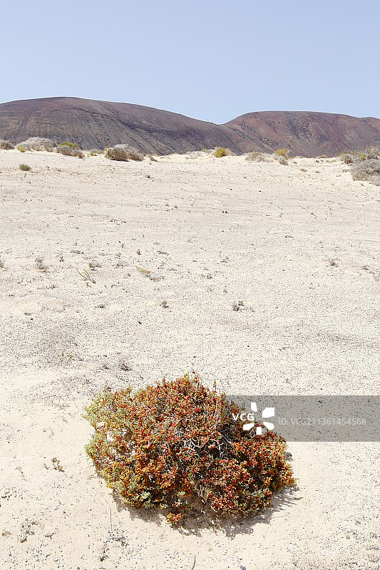 西班牙格拉西iosa沙漠风光图片素材