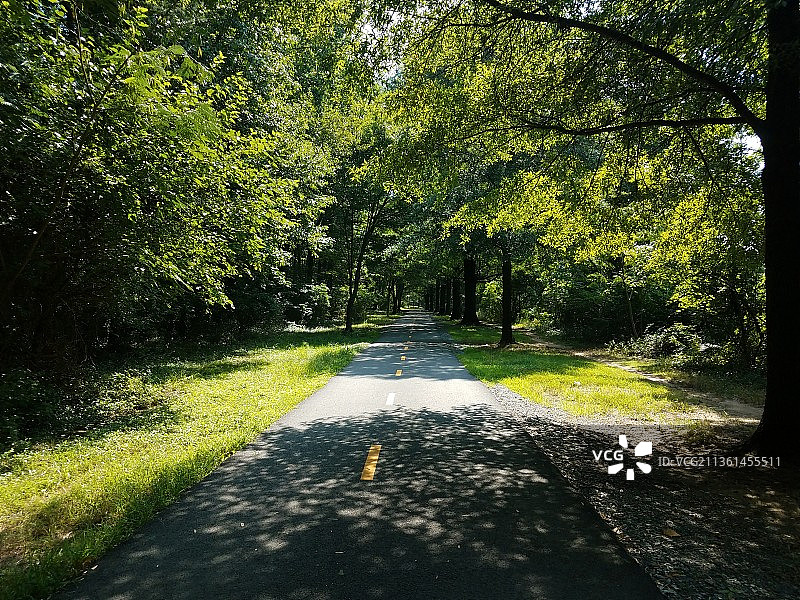 自行车、步行道和树木图片素材