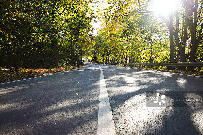 德国海利根豪斯的秋季空旷道路图片素材