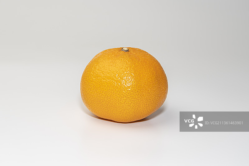 白色背景下的橘子侧视图图片素材