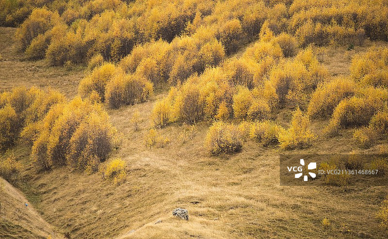 格鲁吉亚 卡兹别克山 国庆秋景图片素材