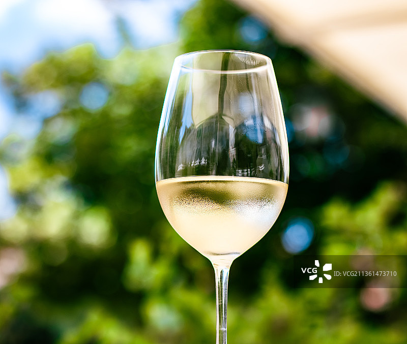 夏日花园露台豪华餐厅中的白葡萄酒品鉴图片素材