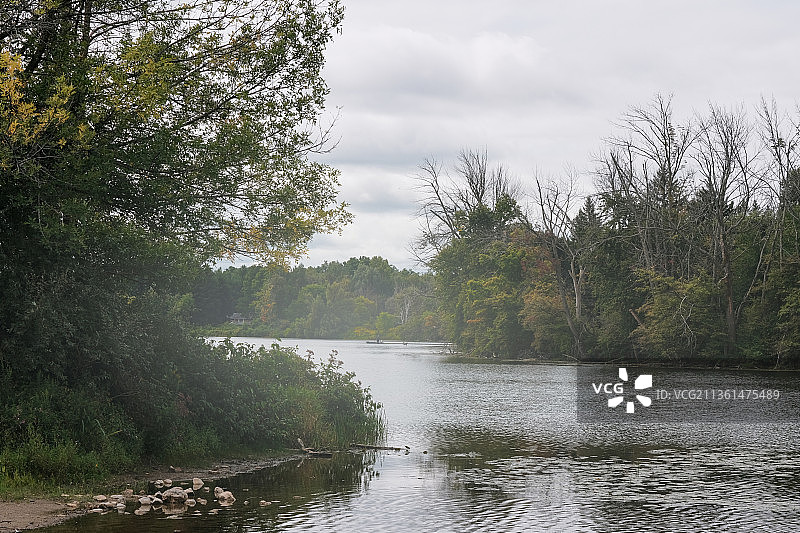 加拿大安大略省阿克顿森林中的宁静河景图片素材