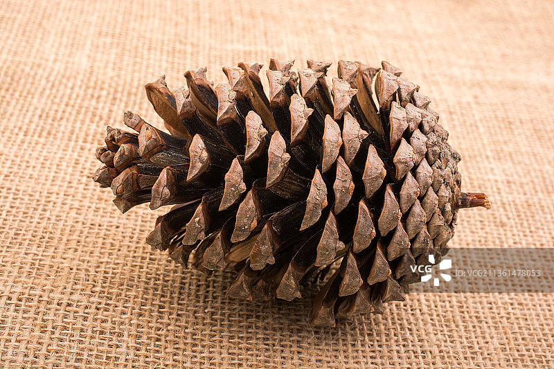 帆布背景上的松果粗麻布上的松果特写图片素材