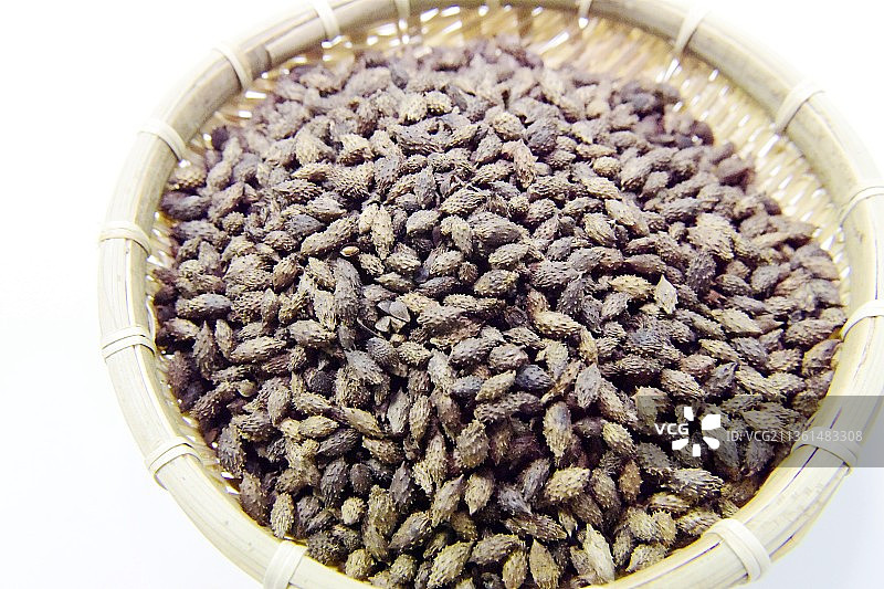 8、苍耳中药材图片素材