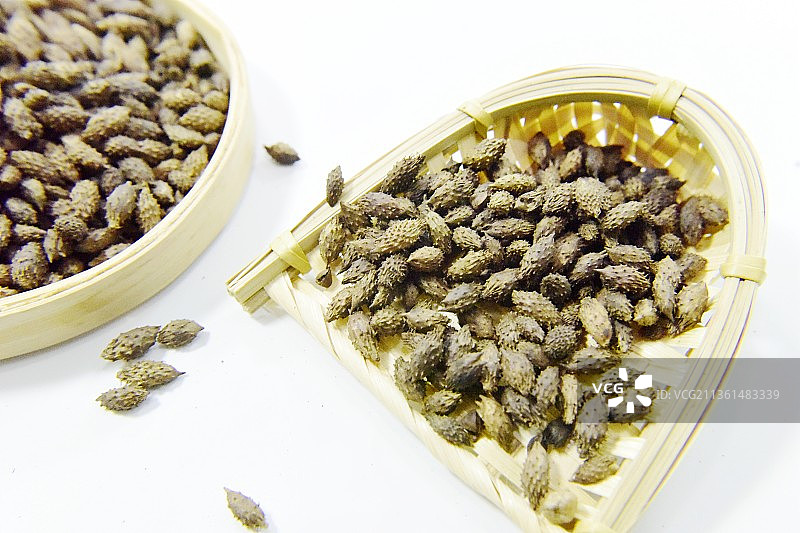 8、苍耳中药材图片素材