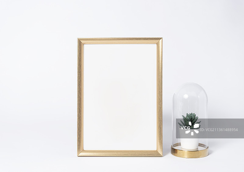 金色相框样机与植物图片素材