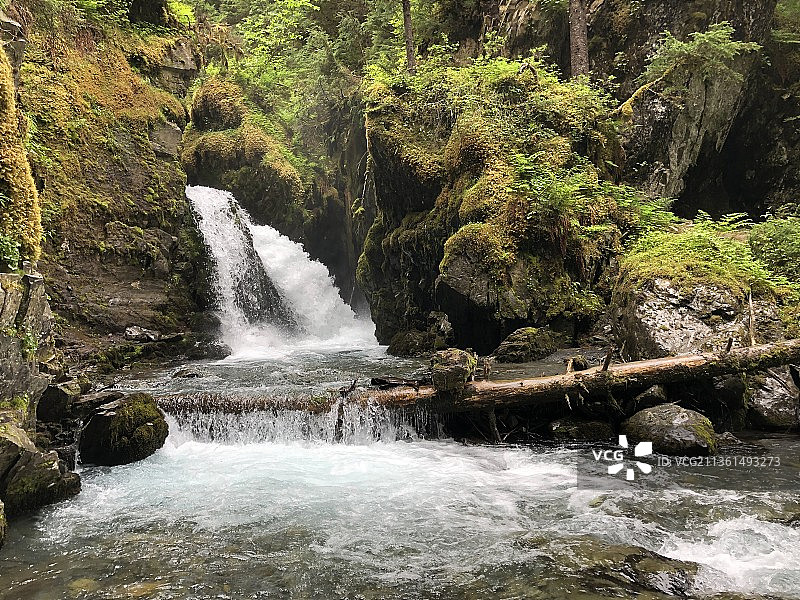 六月阿拉斯加森林瀑布风景，美国图片素材