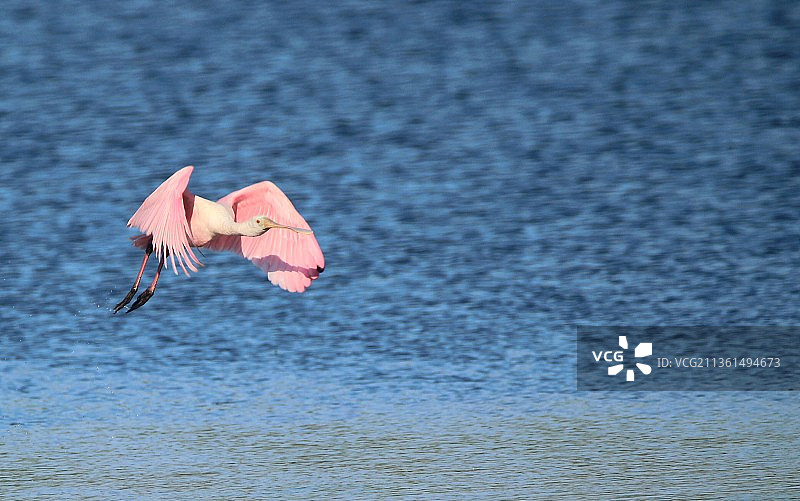 湿地景观图片素材