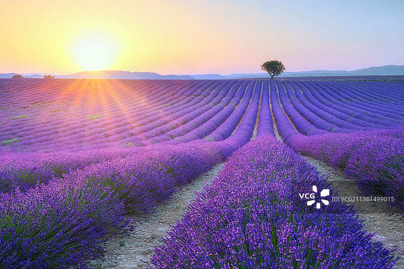 日落时，天空衬托下的风景图片素材