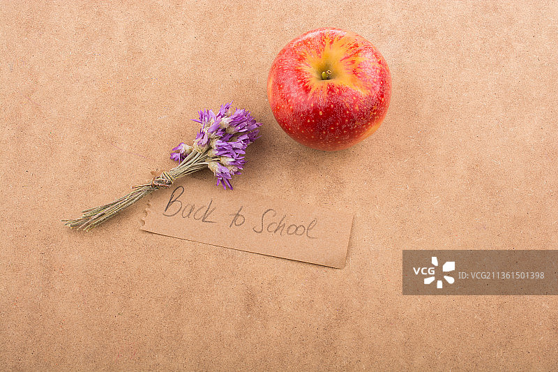 带有苹果和鲜花的返校季标语图片素材