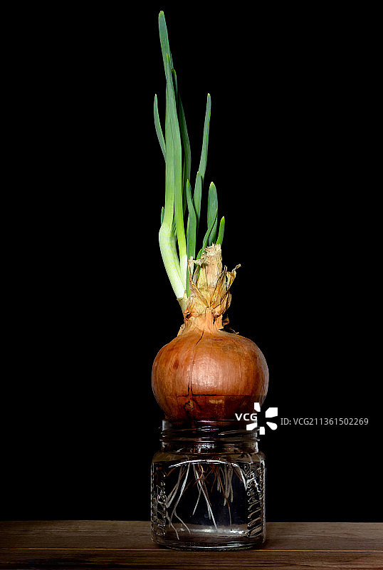 玻璃罐中的大葱，桌上花瓶特写，黑色背景图片素材