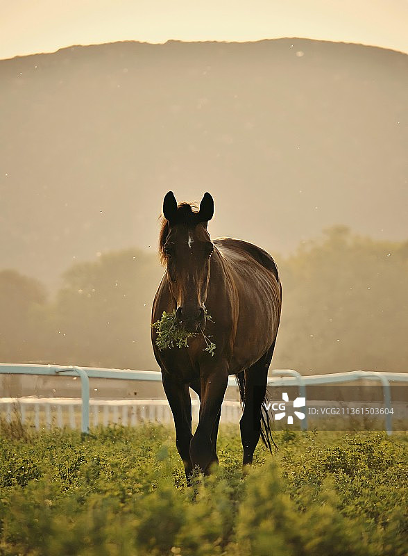 最后一抹夕阳图片素材