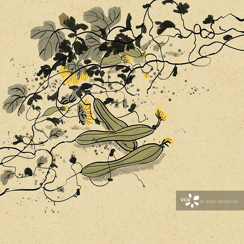 中国写意水墨画瓜藤黄瓜图片素材