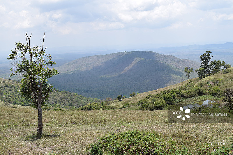 印度卡纳塔克邦班迪布尔的原始风景图片素材
