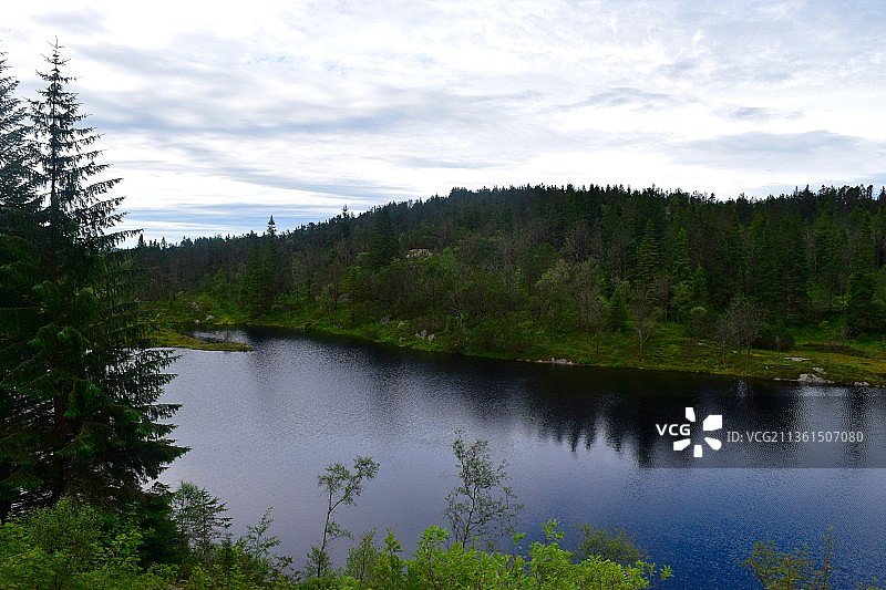 森林中的湖泊与天空相映图片素材