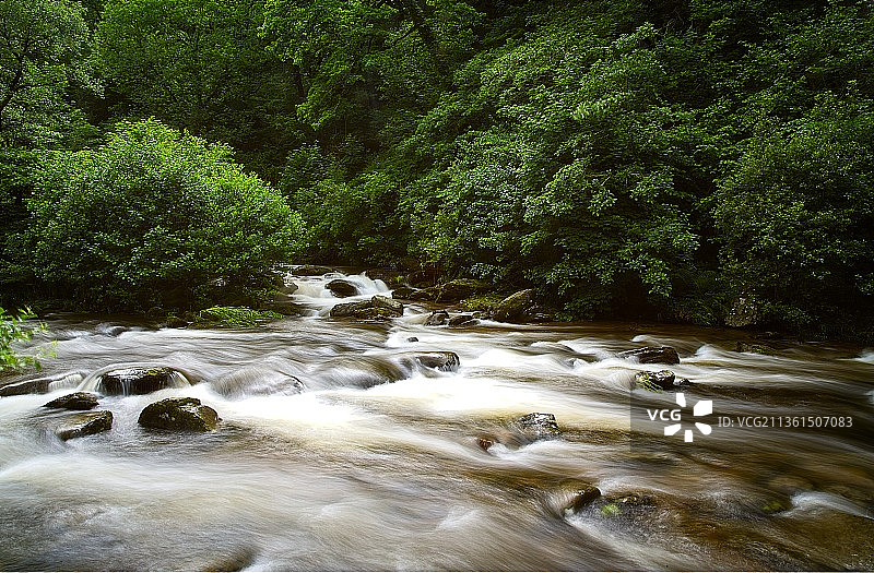 英国沃特斯米特河畔森林风光图片素材
